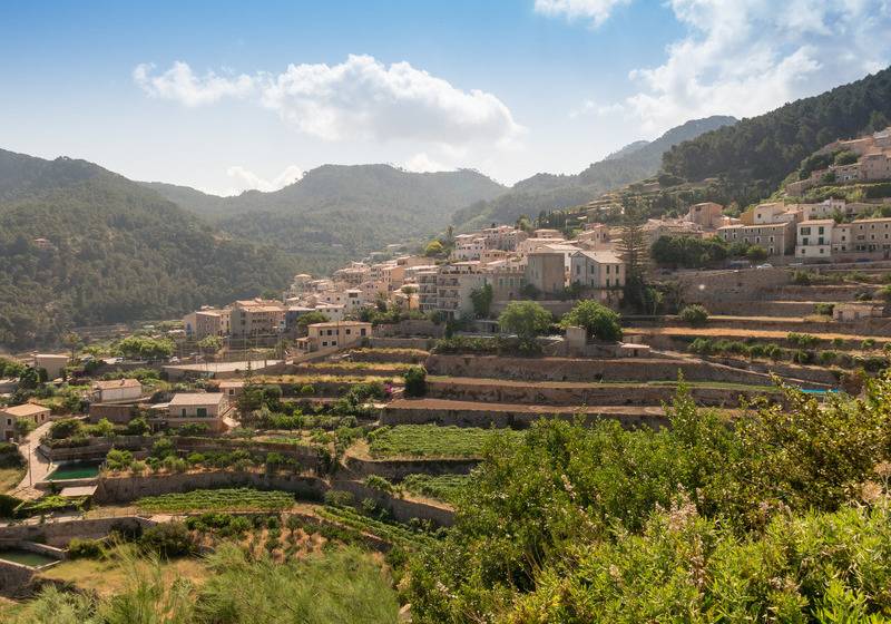 ホテル Hostal Sa Baronia