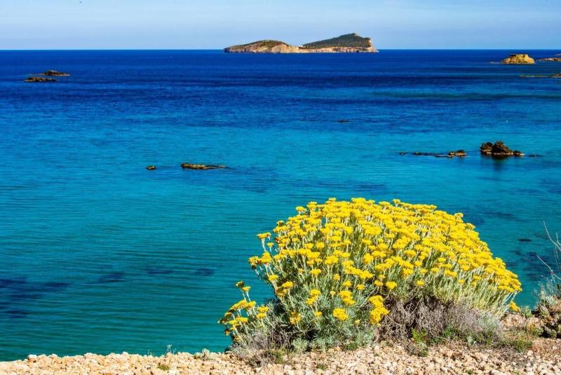 فندق Hostal Y Apartamentos Santa Eulalia