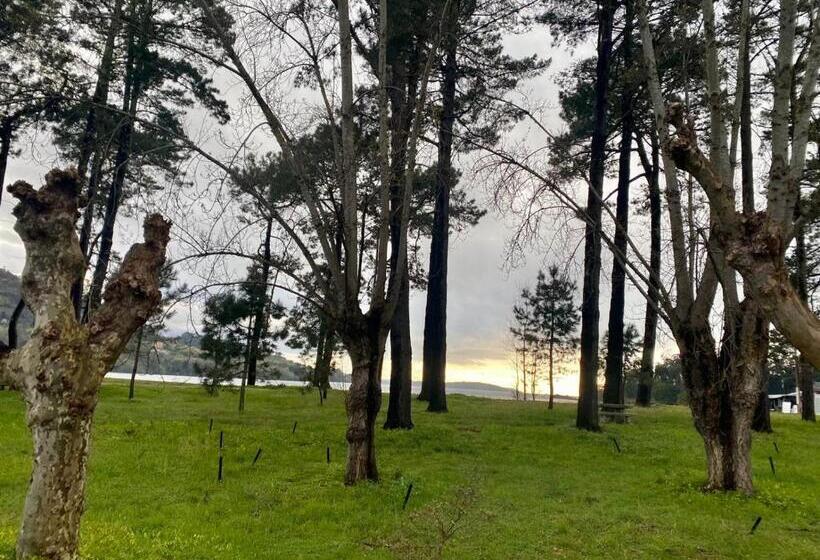 ホテル Alda Cabanas Playa