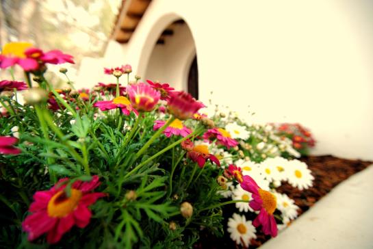 Отель Las Ceibas