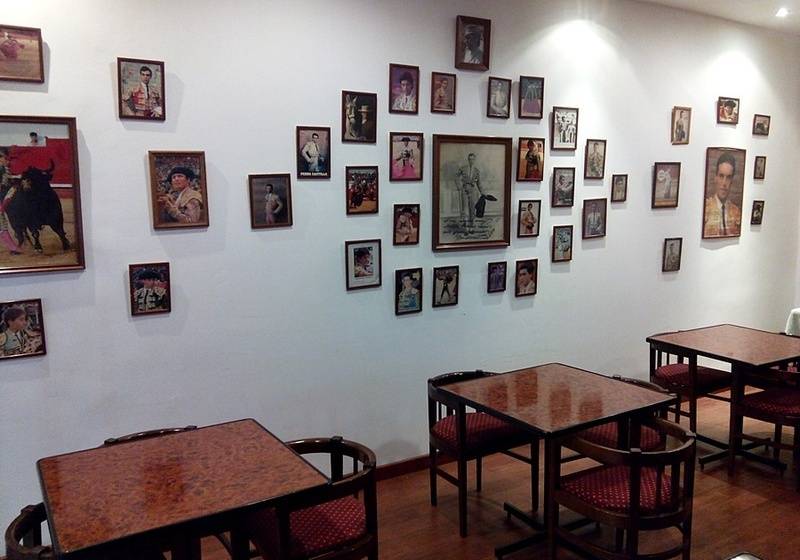 Nuevo Hotel Vista Alegre