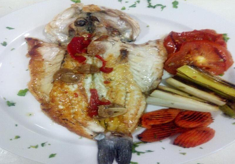 Nuevo Hotel Vista Alegre