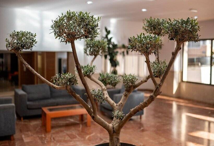 هتل Playas De Torrevieja