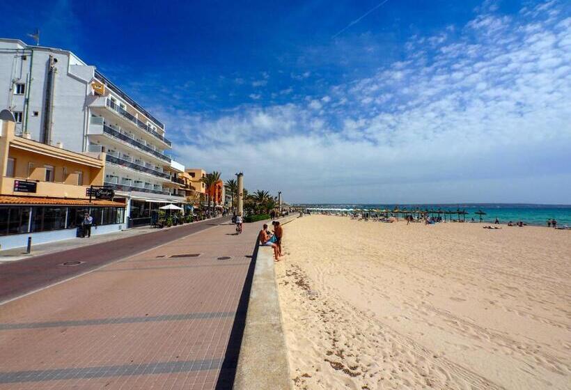 هتل Sauló by Puro