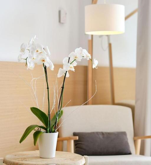 호텔 Villa Chiquita Adults Only Over 12