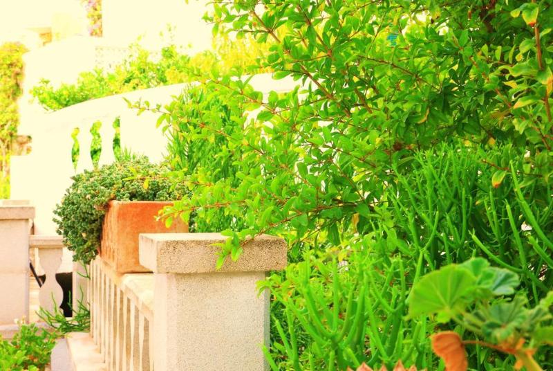 酒店 Villa Columbus Family Boutique