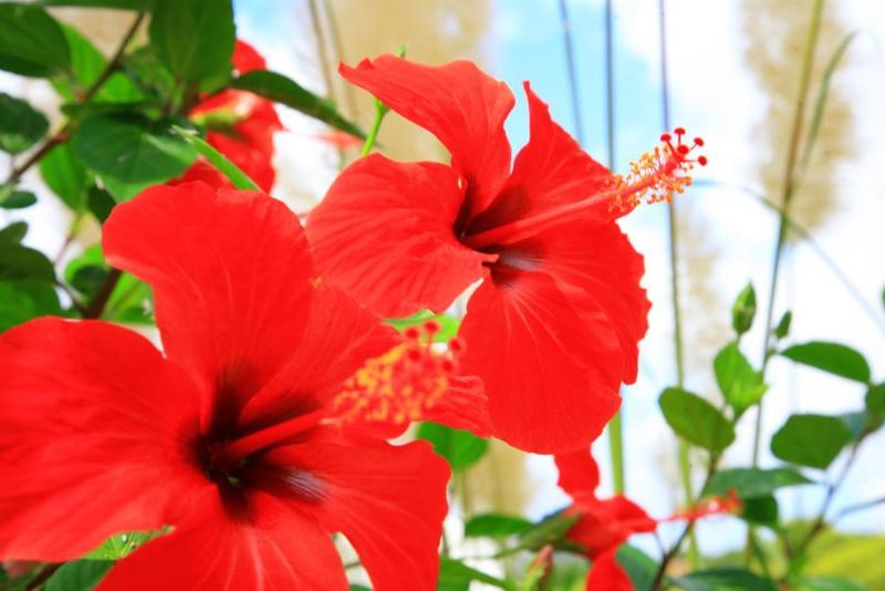 酒店 Villa Columbus Family Boutique