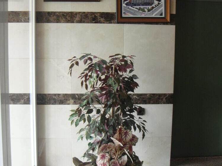 هاستل Hostal Serpol