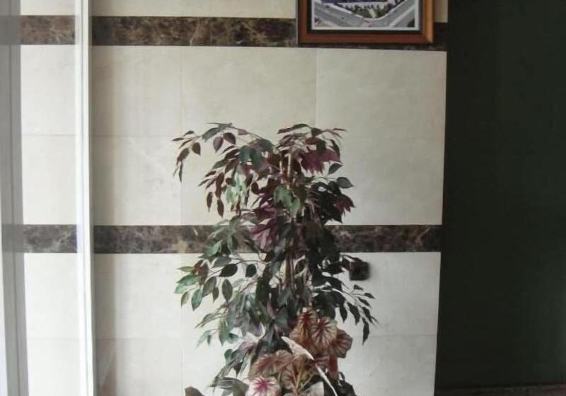 هاستل Hostal Serpol