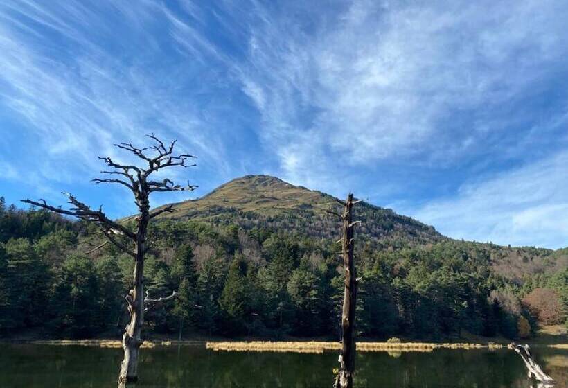 فندق فئة نجمة واحدة La Petite Boheme
