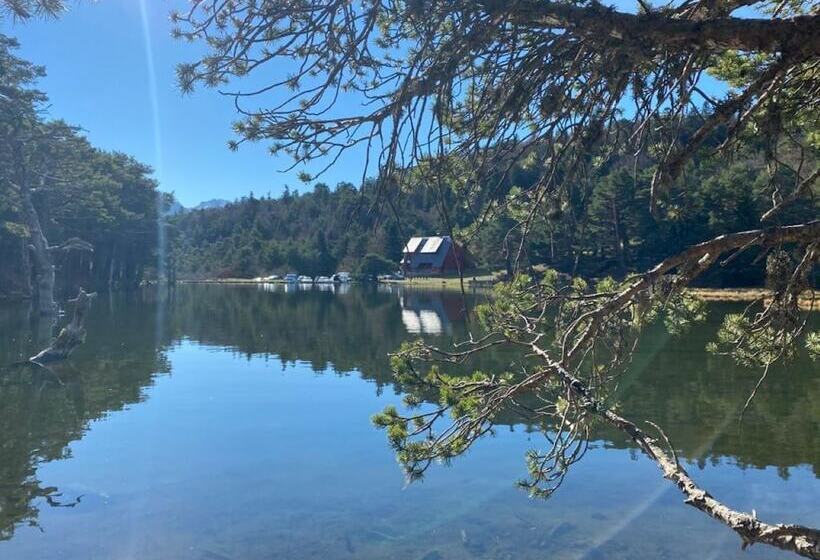 فندق فئة نجمة واحدة La Petite Boheme
