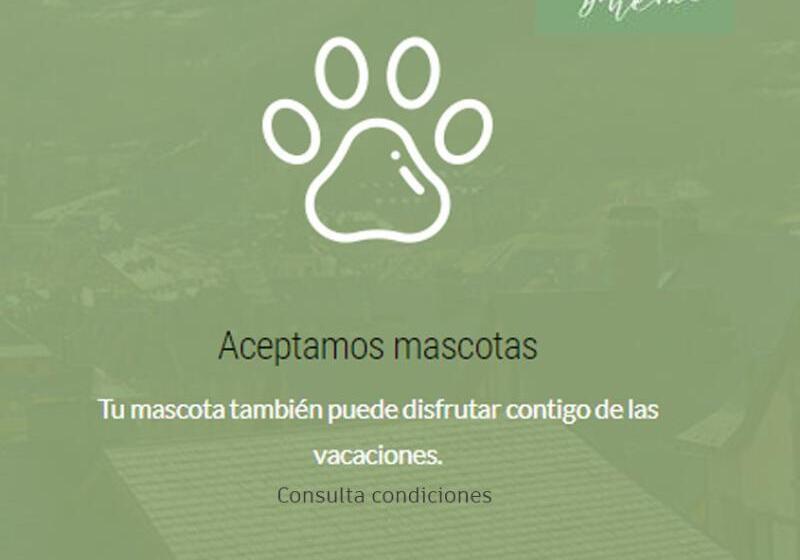 فندق فئة نجمة واحدة La Petite Boheme