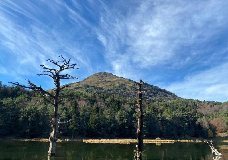 فندق فئة نجمة واحدة La Petite Boheme