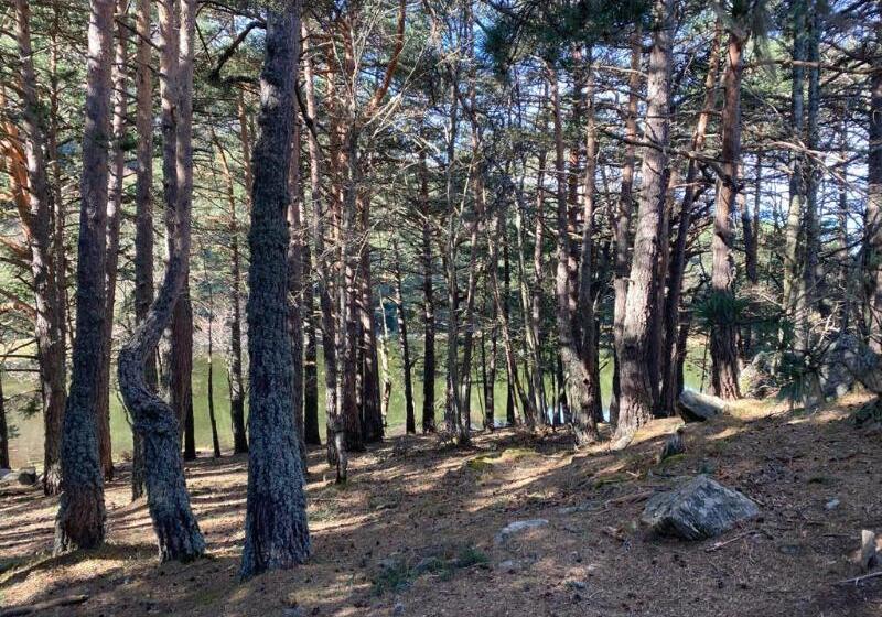 فندق فئة نجمة واحدة La Petite Boheme