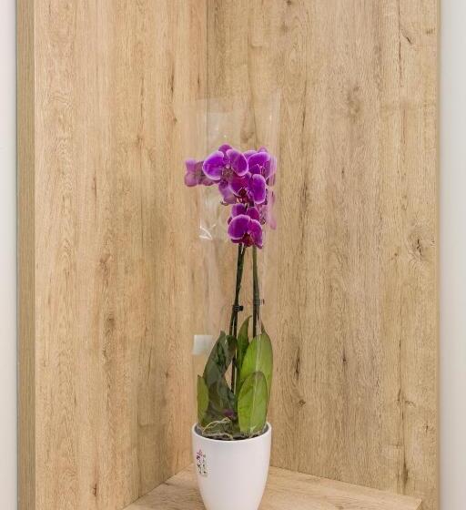 Hostal Manuela By Gaiarooms