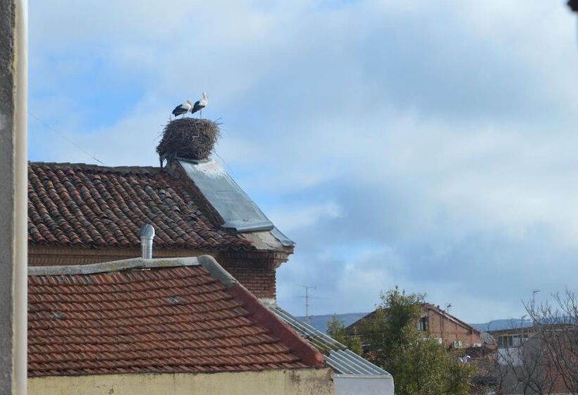 Хостел Miguel De Cervantes