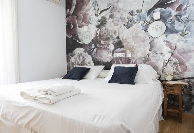 مسافرخانه Veracruz Puerta Del Sol