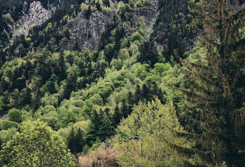 בית מלון כפרי Caldas