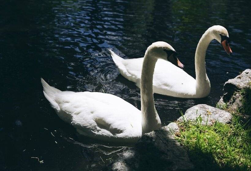 בית מלון כפרי Caldas