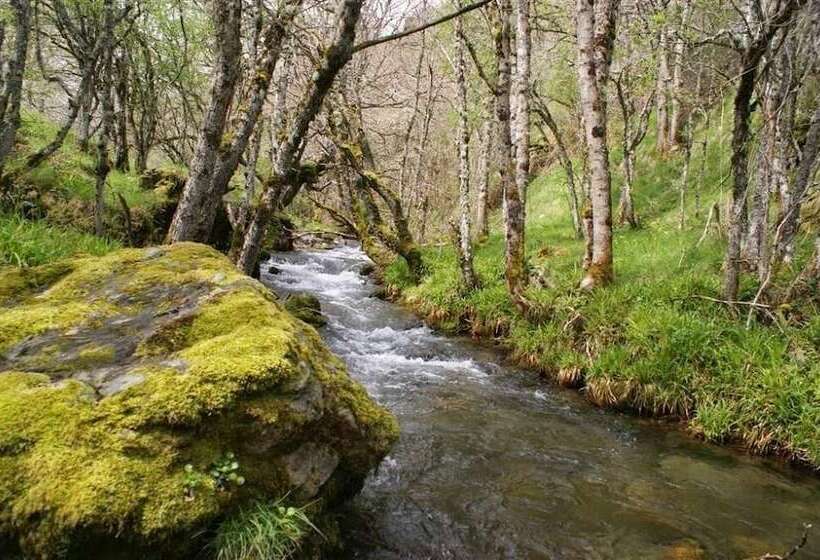 فندق Hostal Adela