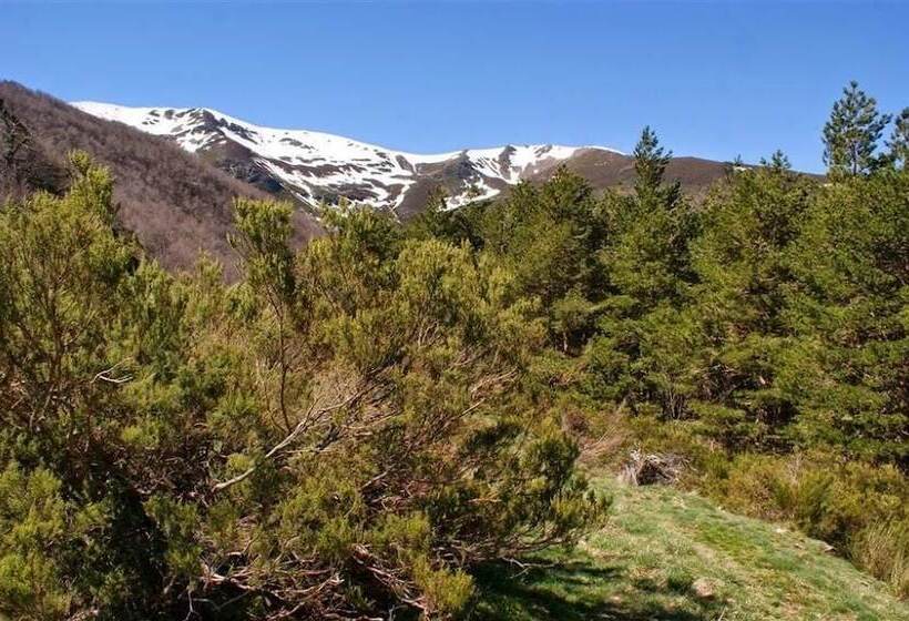 فندق Hostal Adela