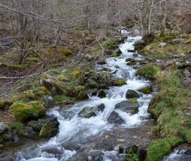 فندق Hostal Adela