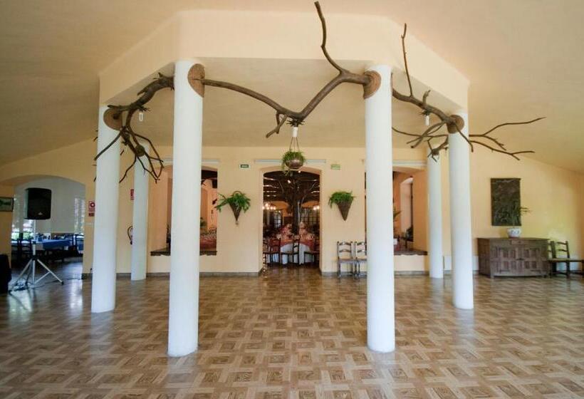 酒店 Hostal Ayestaran I