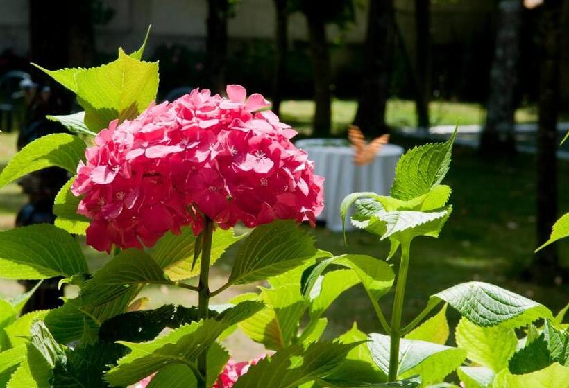 酒店 Hostal Ayestaran I