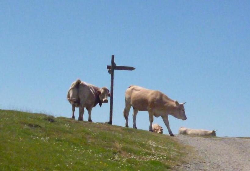 בית מלון כפרי Hostal Betelu