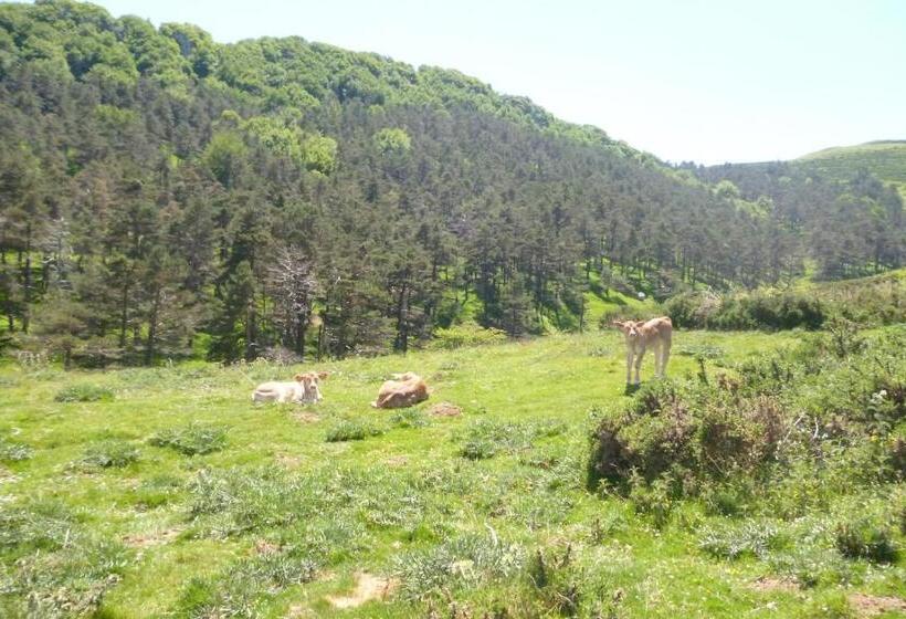 בית מלון כפרי Hostal Betelu