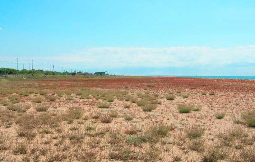 בית מלון כפרי Blue Spot