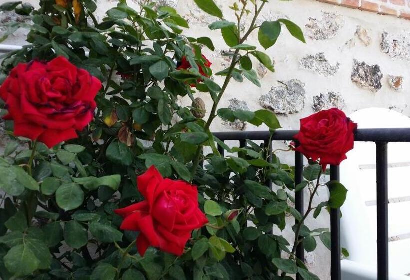 ホテル Hostal Chinchon