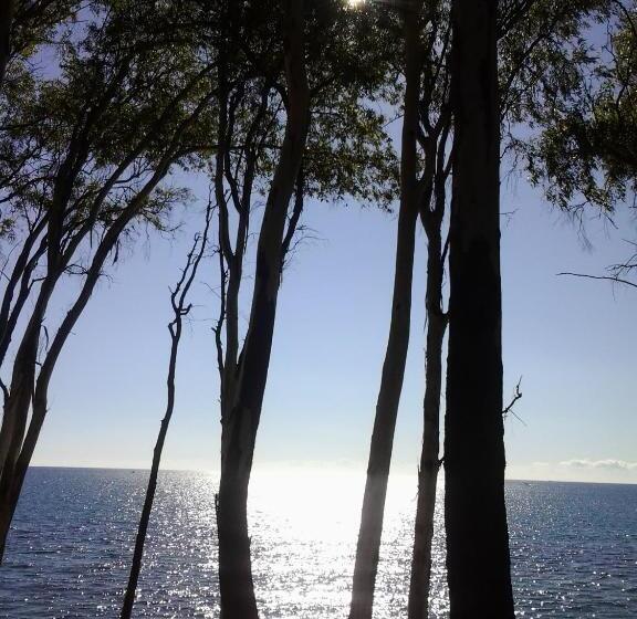 Отель Hostal Enriqueta