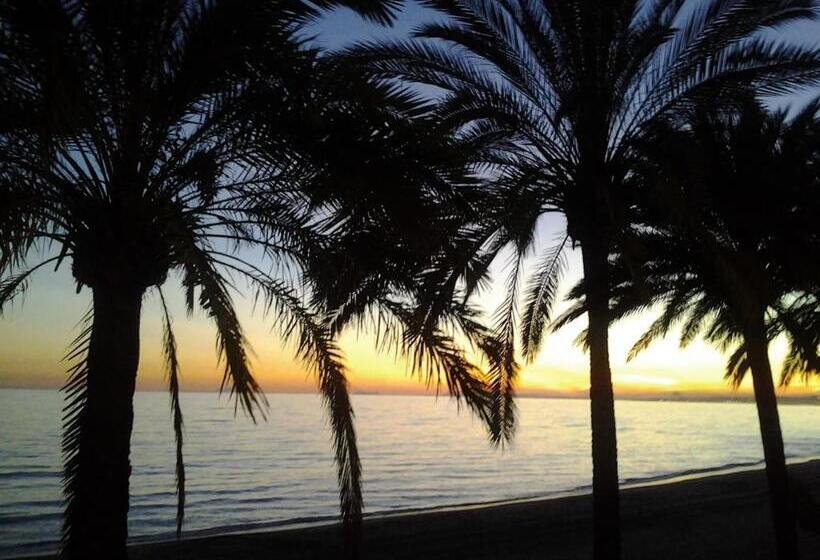 Отель Hostal Enriqueta