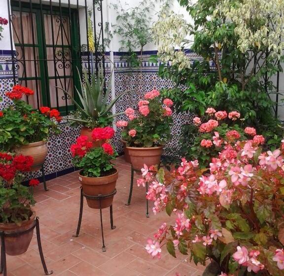 Отель Hostal Enriqueta