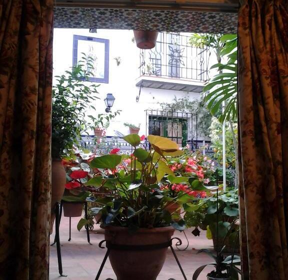 Отель Hostal Enriqueta