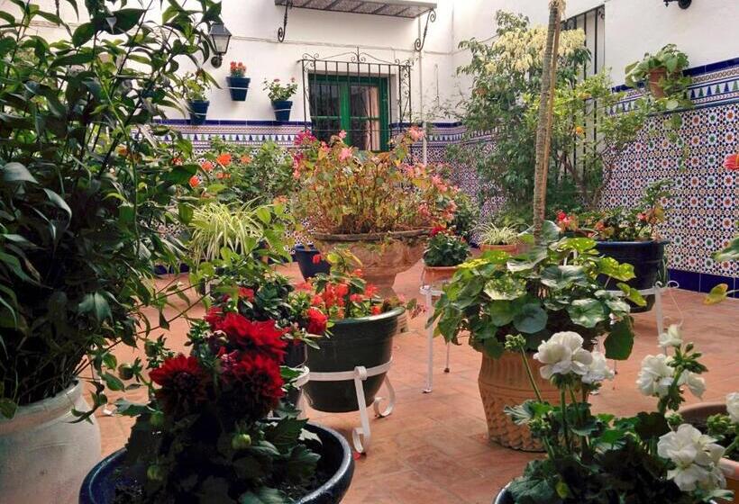 Отель Hostal Enriqueta