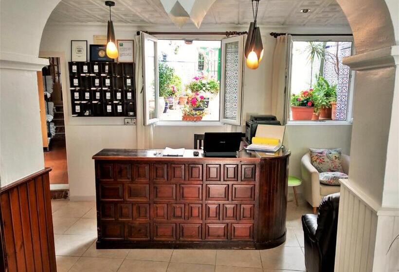 Отель Hostal Enriqueta