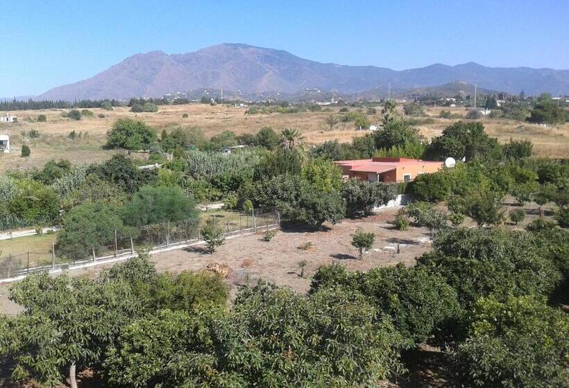 ホテル Hostal Europa