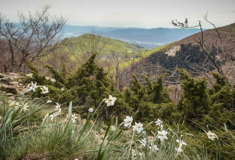 Hotel Hostal L Avet Blau