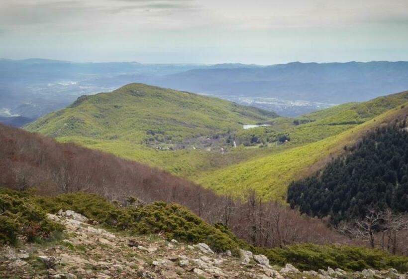 Hotel Hostal L Avet Blau