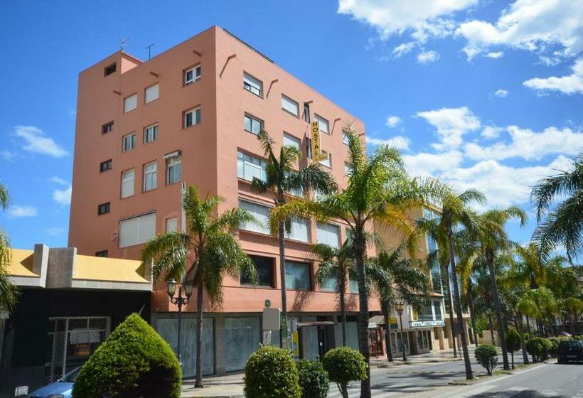 호텔 Hostal La Palmera