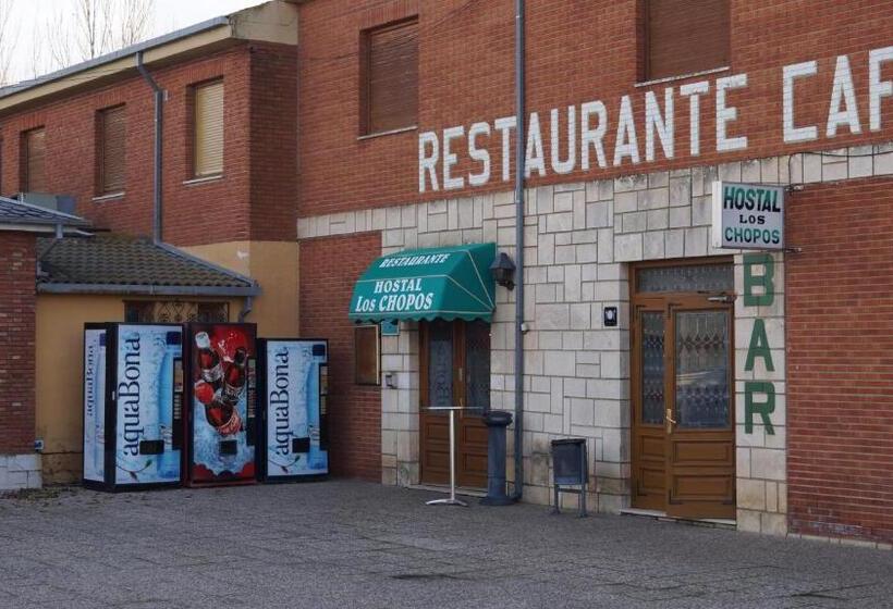 Отель Hostal Los Chopos