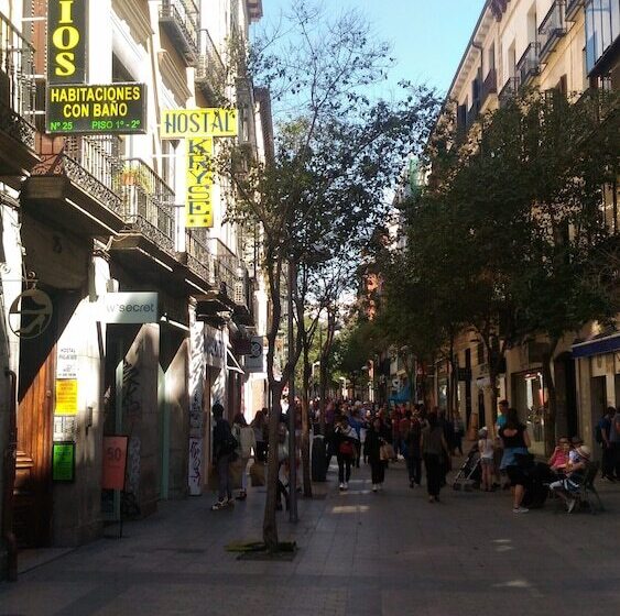 هتل Hostal Palacios Fuencarral