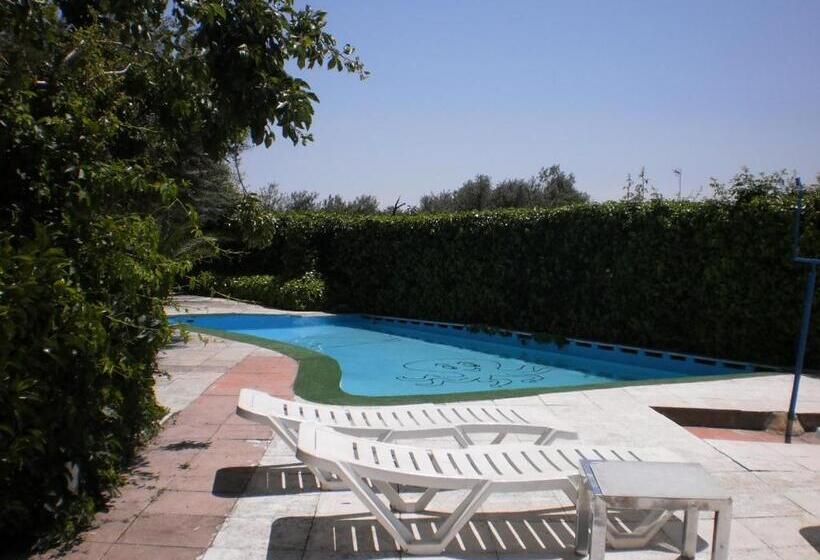 فندق Hostal San José