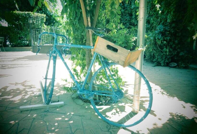 فندق Hostal San José