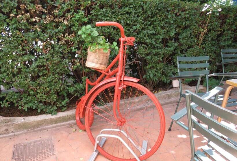 فندق Hostal San José