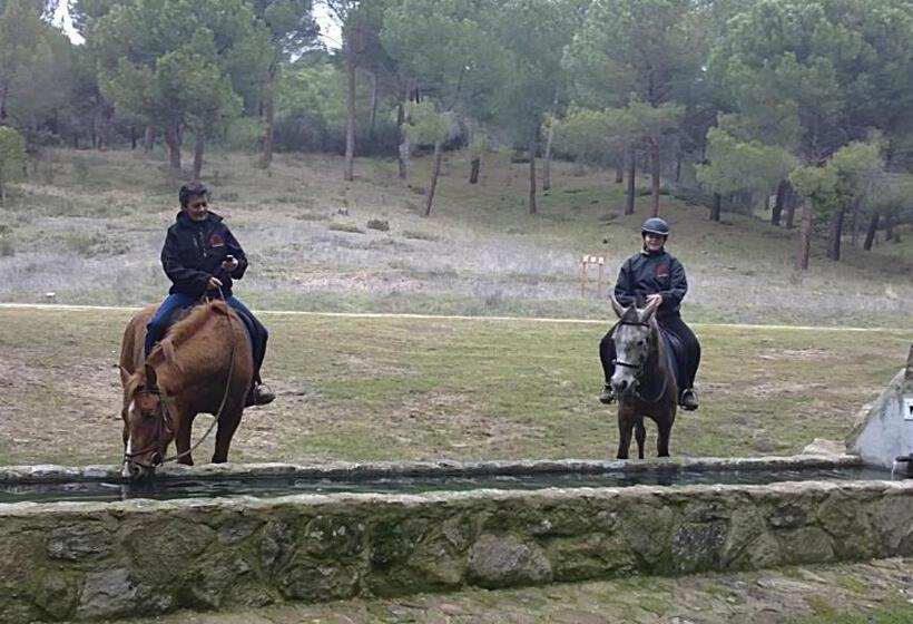 فندق Hostal San José