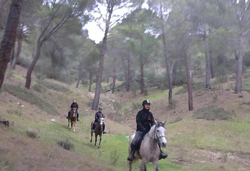 فندق Hostal San José