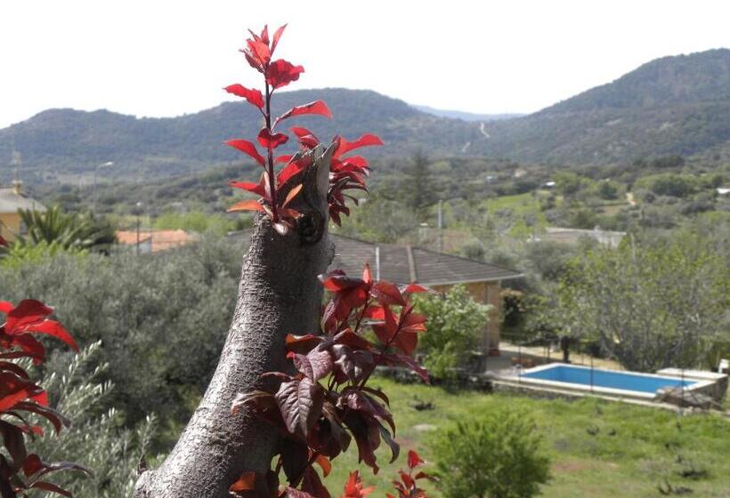 فندق Hostal San José